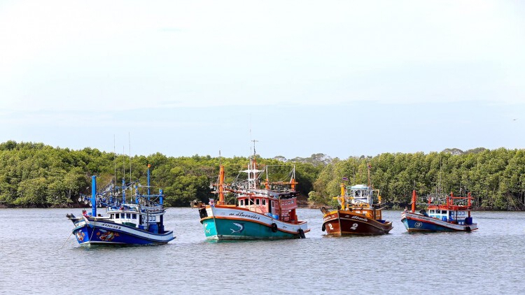 'สมาคมประมงฯ' แนะรัฐ ทุ่ม 7 พันล้าน คุมกำเนิด 'เรือประมง'
