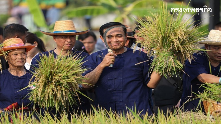 ครม.ไฟเขียวงบกลางฯ ประกันภัยข้าว ปี64 วงเงิน 2.9 พันล้านบาท 