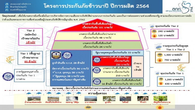 ครม.อนุมัติโครงการประกันภัยข้าวนาปีปีการผลิต 2564