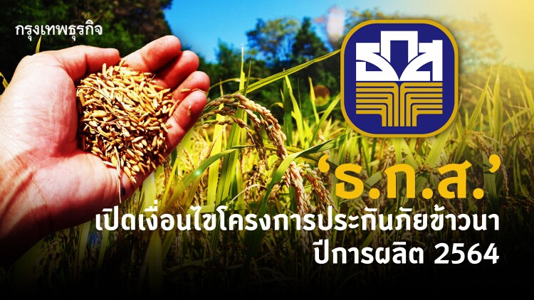 ‘ธ.ก.ส.’ เปิดเงื่อนไขโครงการ 'ประกันภัยข้าวนาปี 64' วงเงิน 2.9 พันล้านบาท