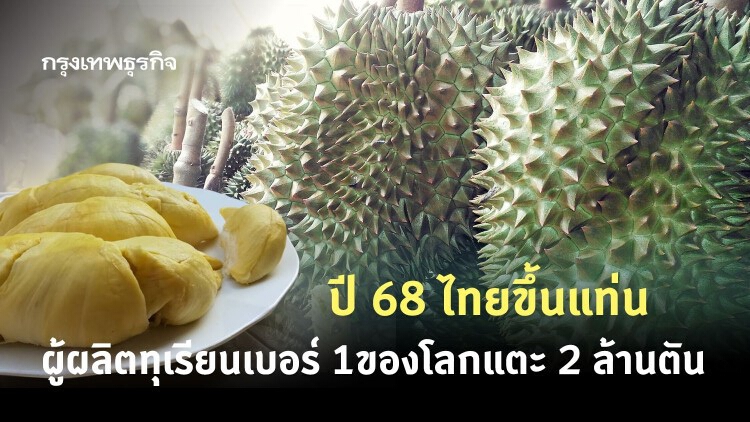  ปี68 ไทยขึ้นแท่นผู้ผลิตทุเรียนเบอร์ 1ของโลกแตะ 2ล้านตัน