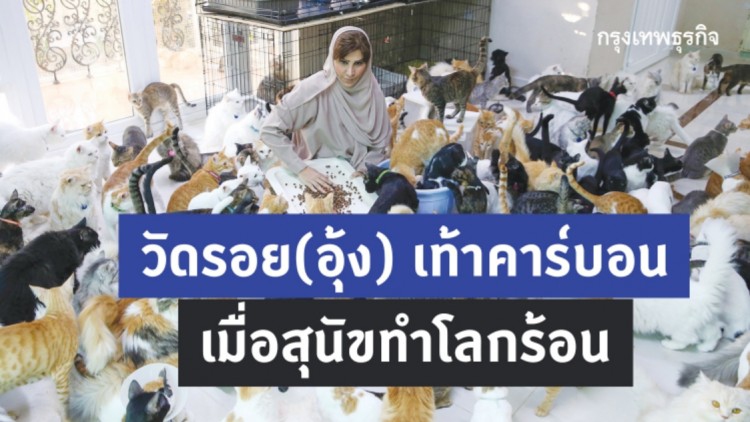 วัดรอย(อุ้ง) เท้าคาร์บอน เมื่อสุนัขทำโลกร้อน 