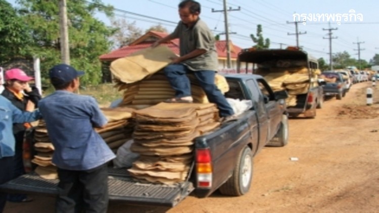 ราคายางแผ่นรมควัน ชั้น 1 (พ.ค.) กรุงเทพฯ 69.15บาท/กก. สงขลา 68.90บาท/กก.