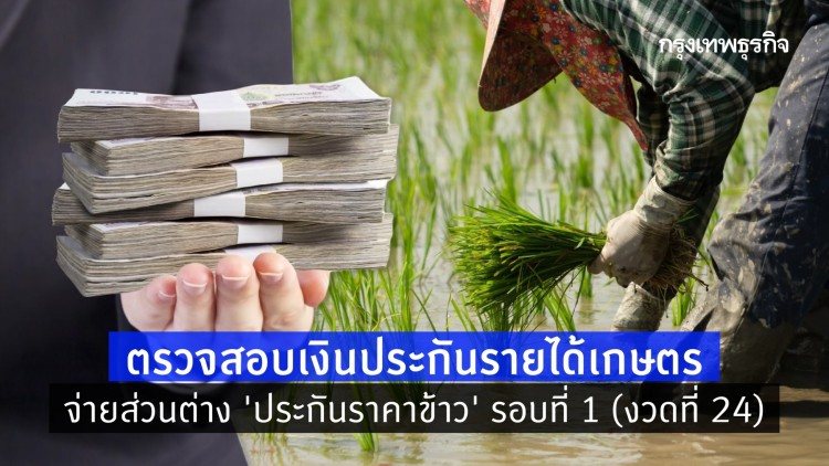 ตรวจสอบเงินประกันรายได้เกษตร จ่ายส่วนต่าง 'ประกันราคาข้าว' รอบที่ 1 (งวดที่ 24)
