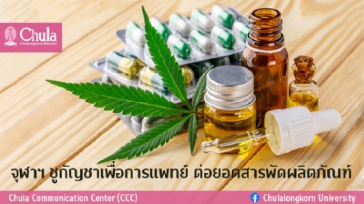 จุฬาฯ ชู "กัญชา" เพื่อการแพทย์ ต่อยอดสารพัดผลิตภัณฑ์
