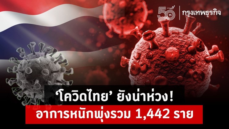 'โควิดไทย' ยังน่าห่วง! อาการหนักพุ่งรวม 1,442 ราย