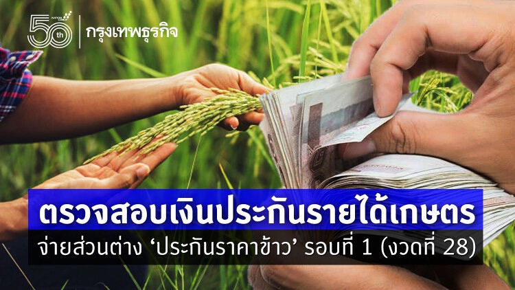 ตรวจสอบเงินประกันรายได้เกษตร จ่ายส่วนต่าง 'ประกันราคาข้าว' รอบที่ 1 (งวดที่ 28)