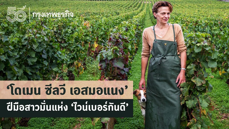 ‘โดเมน ซีลวี เอสมอแนง’ ฝีมือสาวมั่นแห่ง ‘ไวน์เบอร์กันดี’