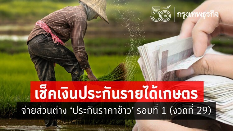 เช็คเงินประกันรายได้เกษตร จ่ายส่วนต่าง 'ประกันราคาข้าว' รอบที่ 1 (งวดที่ 29)