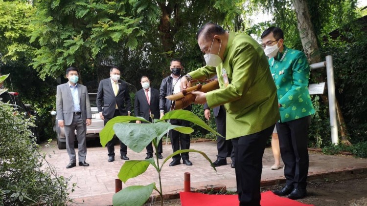 'บิ๊กป้อม' ร่วมปลูกต้นไม้เนื่องใน "วันต้นไม้ประจําปีของชาติ 2564”