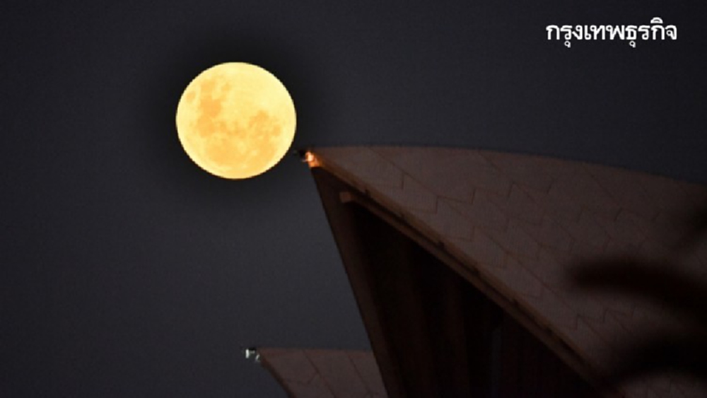 ‘ซูเปอร์ฟลาวเวอร์มูน’กระจ่างฟ้าซิดนีย์รอเกิด'พระจันทร์สีเลือด' 