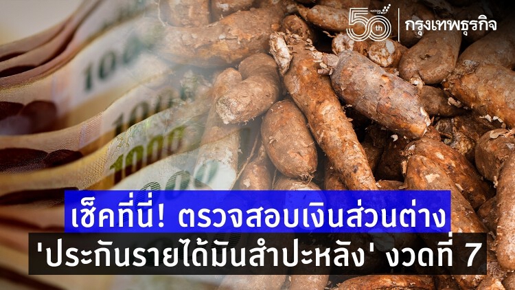 เช็คที่นี่! ตรวจสอบเงินส่วนต่าง ‘ประกันรายได้มันสำปะหลัง’ งวดที่ 7