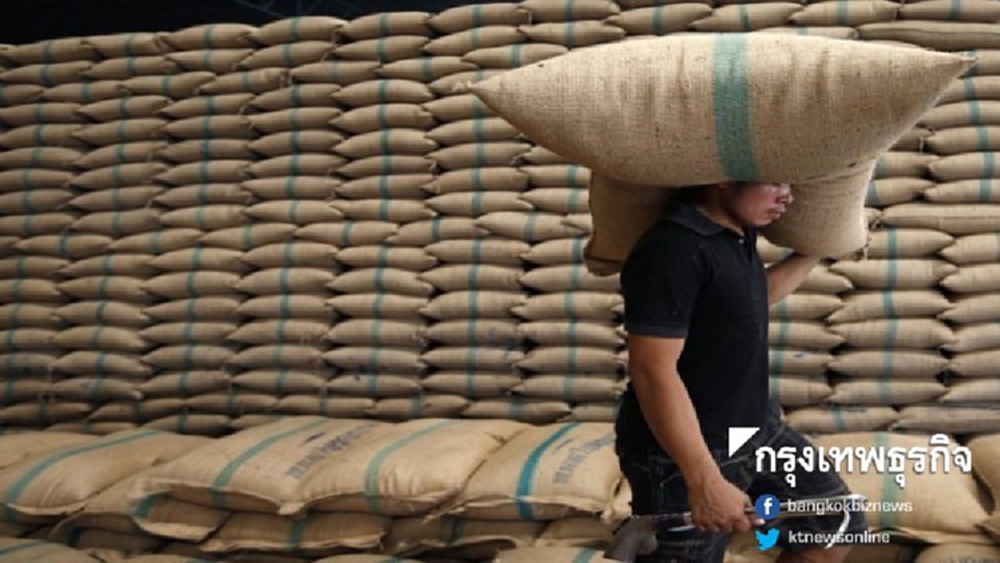 'ผู้ส่งออก' เฟ้นหาข้าวพันธุ์ใหม่เจาะตลาดต่างประเทศ 