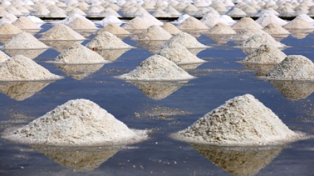 ชาวนาเกลือวอน"ธรรมนัส" ประกันราคากก.ละ 1.50 บาท 