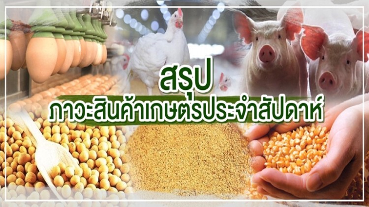 สรุปภาวะสินค้าเกษตรประจำสัปดาห์วันที่ 24-28 พฤษภาคม 2564