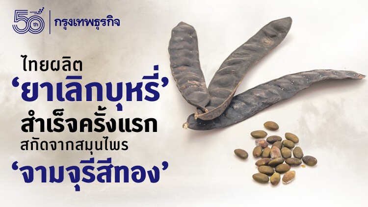 ไทยผลิต 'ยาเลิกบุหรี่' สำเร็จครั้งแรก สกัดจากสมุนไพร 'จามจุรีสีทอง'