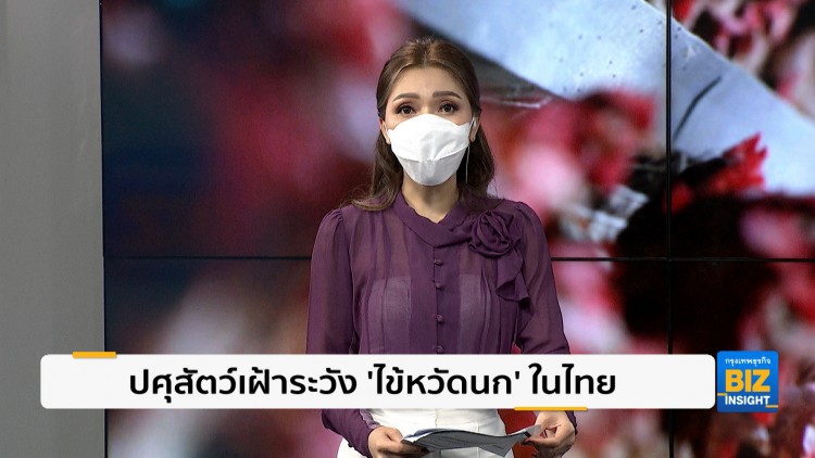ปศุสัตว์เฝ้าระวัง ‘ไข้หวัดนก’ ในไทย
