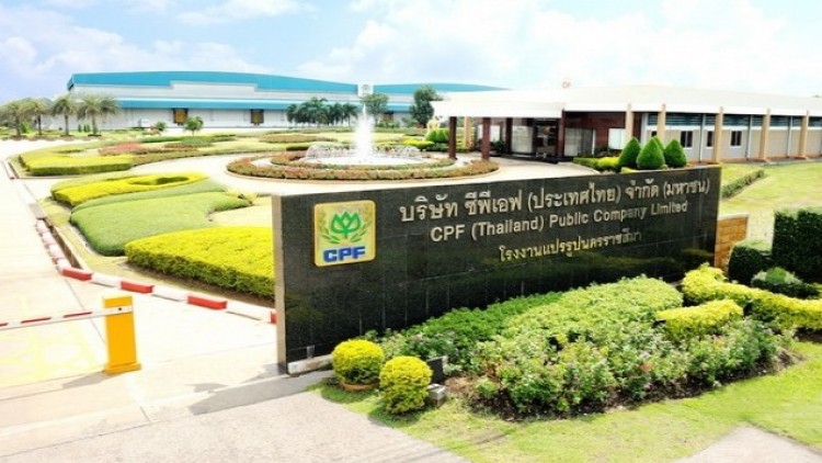 'ซีพีเอฟ' ยืดเครดิตเทอมถึง ก.ย.นี้ อุ้มคู่ค้าเอสเอ็มอีพ้นวิกฤติโควิด-19