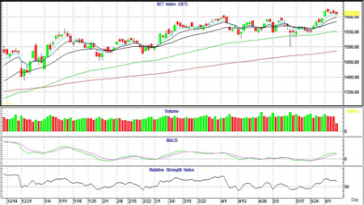 AFTERNOON CALL ACTION NOTES (8 มิ.ย.64)