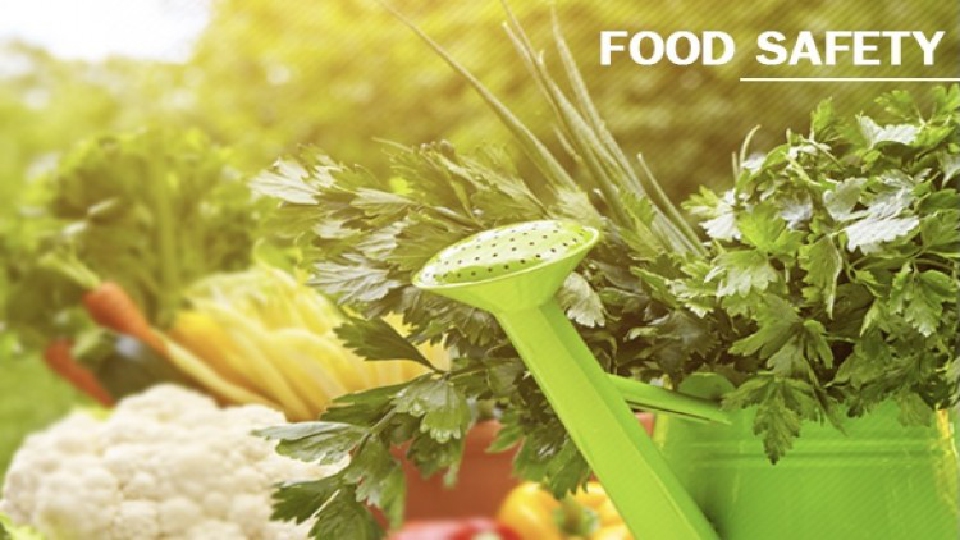 มกอช. เล็งประกาศมาตรฐานทั่วไป” เห็ดหอมแห้ง-ปาล์มน้ำมัน-ข้าว”