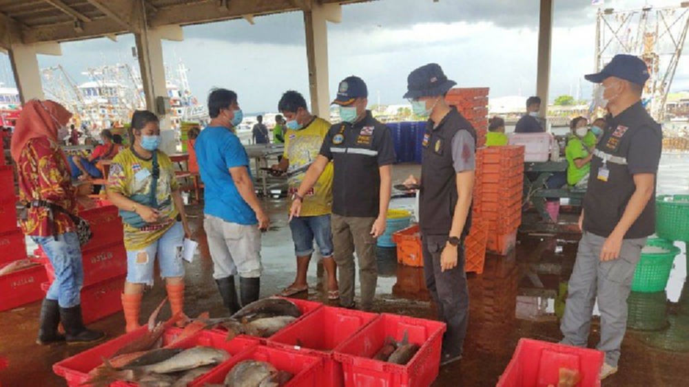 ผบ.ทร. สั่ง ศรชล.หามาตรการด่วน กรณีพบซากฉลามหูดำวางขายเกลื่อนตลาดปลาภูเก็ต