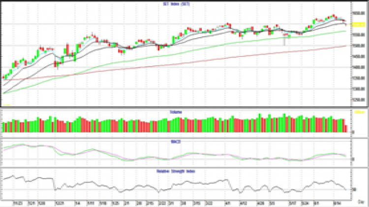 AFTERNOON CALL ACTION NOTES (21 มิ.ย.62)