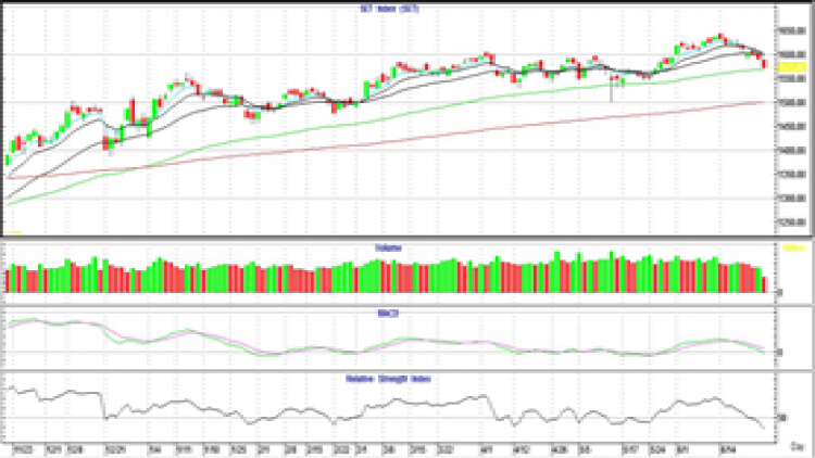 AFTERNOON CALL ACTION NOTES (24 มิ.ย.64)