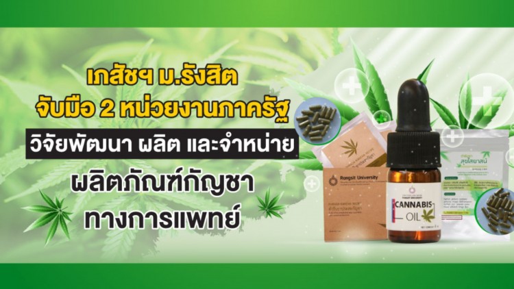 เภสัชฯ ม.รังสิต วิจัยพัฒนาผลิต-จำหน่ายผลิตภัณฑ์กัญชาทางการแพทย์