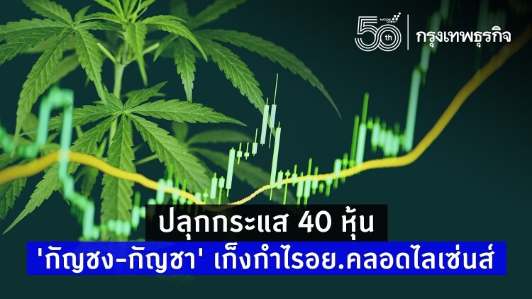 ปลุกกระแส 40 หุ้น 'กัญชง-กัญชา' เก็งกำไรอย.คลอดไลเซ่นส์