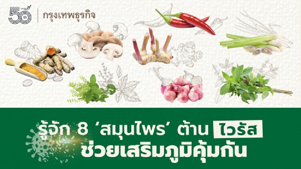 รู้จัก 8 'สมุนไพร' ใกล้ตัวต้าน 'ไวรัส' ช่วยเสริมภูมิคุ้มกัน