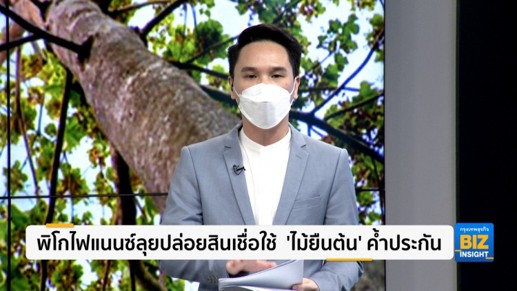 พิโกไฟแนนซ์ลุยปล่อยสินเชื่อใช้ ‘ไม้ยืนต้น’ ค้ำประกัน