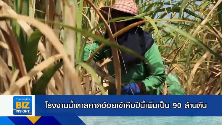 โรงงานน้ำตาลคาดอ้อยเข้าหีบปีนี้เพิ่มเป็น 90 ล้านตัน