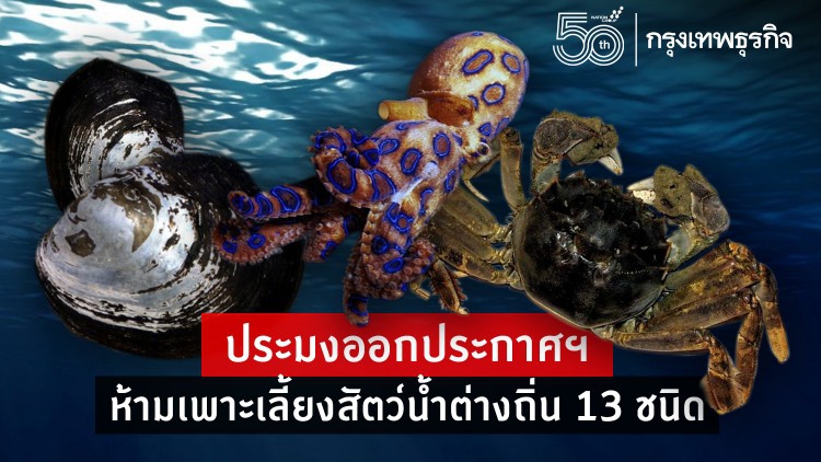 ประมง.. ออกประกาศฯ" ห้ามเพาะเลี้ยงสัตว์น้ำต่างถิ่น"13 ชนิด