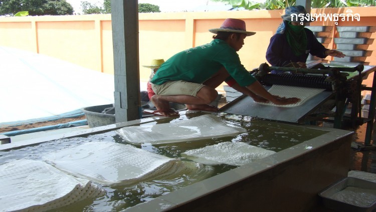 ราคายางแผ่นรมควัน ชั้น 1 (ส.ค.) กรุงเทพฯ 62.65บาท/กก. สงขลา 62.40บาท/กก.