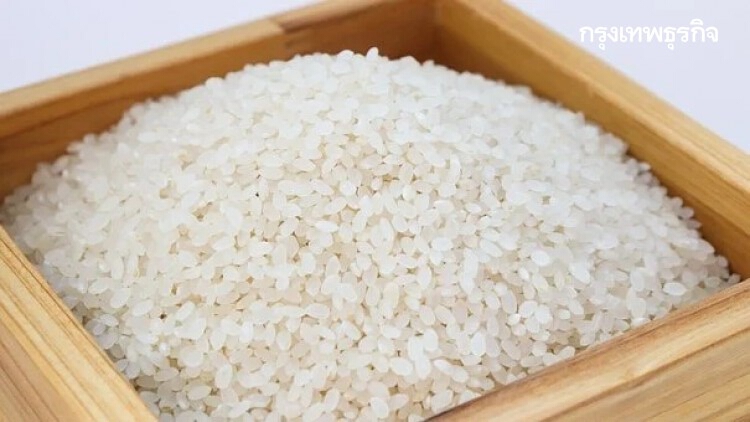 ข้าวหอมมะลิ 100% ชั้น 2 (62/63) 2100-2250บาท/100กก.