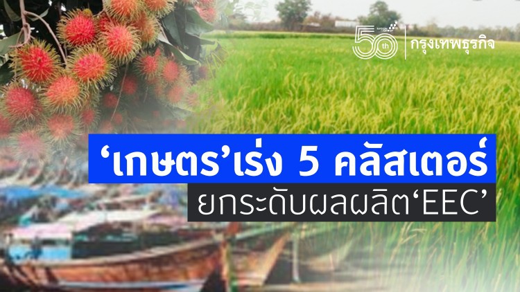 “เกษตร”เร่ง5คลัสเตอร์  ยกระดับผลผลิต “อีอีซี”