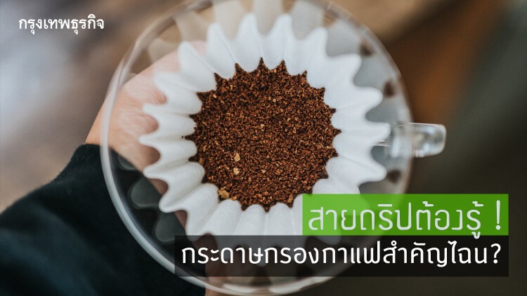 สายดริปต้องรู้... 'กระดาษกรองกาแฟ' สำคัญไฉน?