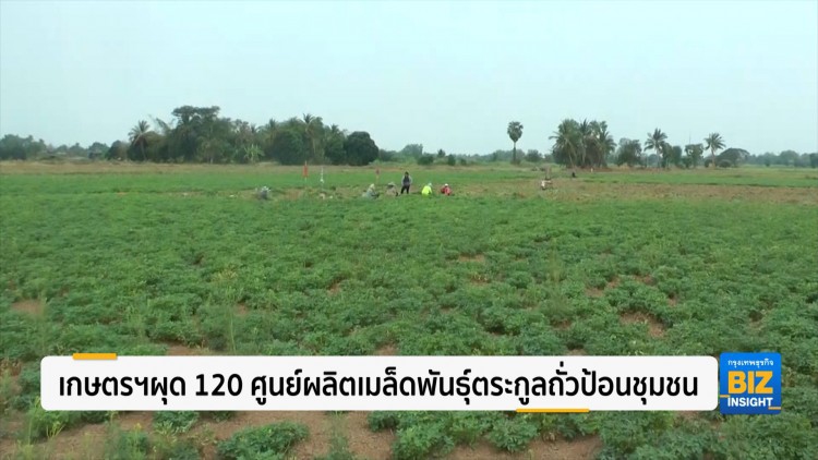 เกษตรฯผุด 120 ศูนย์ผลิตเมล็ดพันธุ์ตระกูลถั่วป้อนชุมชน