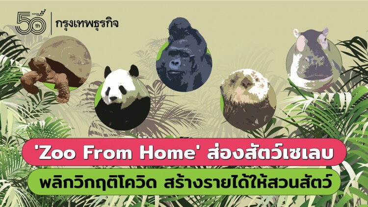 'Zoo At Home' ส่องสัตว์เซเลบ พลิกวิกฤติ 'โควิด' สร้างรายได้ให้สวนสัตว์