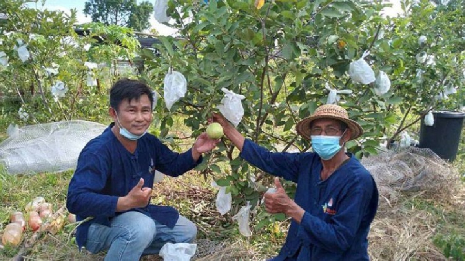 'มูลนิธิปิดทองหลังพระ' สืบสานแนวพระราชดำริ ช่วยชาวหนองบัวน้อยสู้ภัยโควิด-19