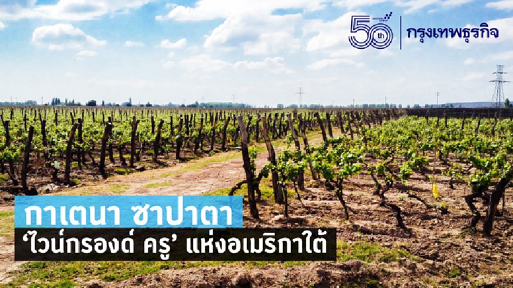 กาเตนา ซาปาตา  “ไวน์กรองด์ ครู แห่งอเมริกาใต้”