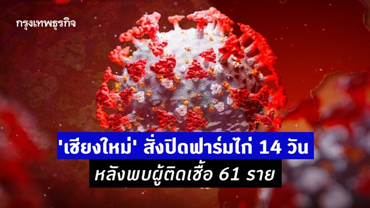 'เชียงใหม่' สั่งปิดฟาร์มไก่ 14 วัน หยุดวงจรระบาด หลังพบผู้ติดเชื้อ 61 ราย