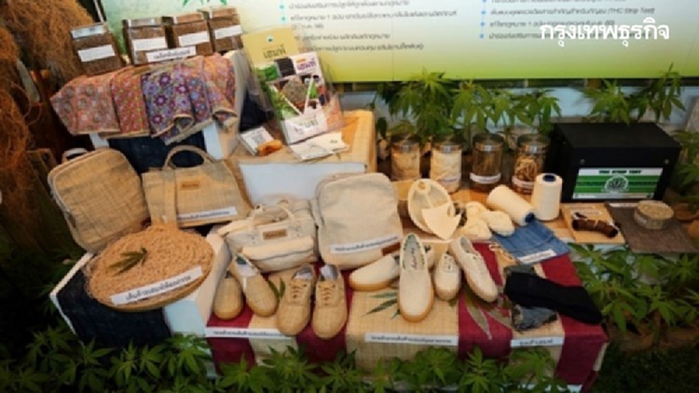 สวพส. ผนึกกำลัง 2 พันธมิตร พัฒนา 'กัญชง' สู่อุตสาหกรรม