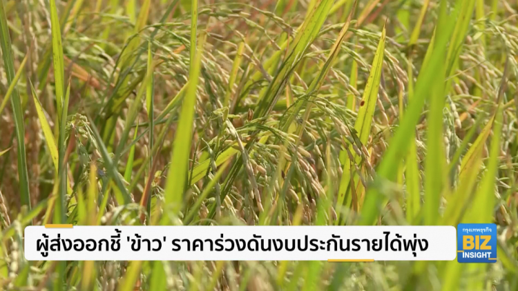 ผู้ส่งออกชี้ 'ข้าว' ราคาร่วงดันงบประกันรายได้พุ่ง