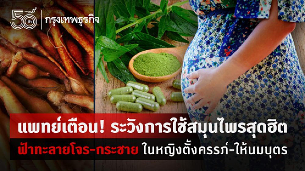 แพทย์เตือน! ระวังการใช้สมุนไพร 'ฟ้าทะลายโจร-กระชาย' ในหญิงตั้งครรภ์-ให้นมบุตร