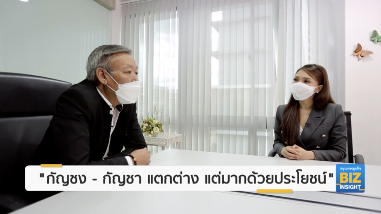 กัญชง - กัญชา แตกต่าง แต่มากด้วยประโยชน์
