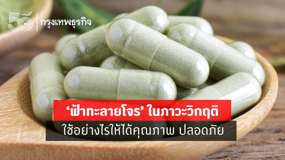 เช็คก่อนซื้อ เมื่อ 'ฟ้าทะลายโจร' ขาดตลาด ราคาพุ่ง ของปลอมเกลื่อน