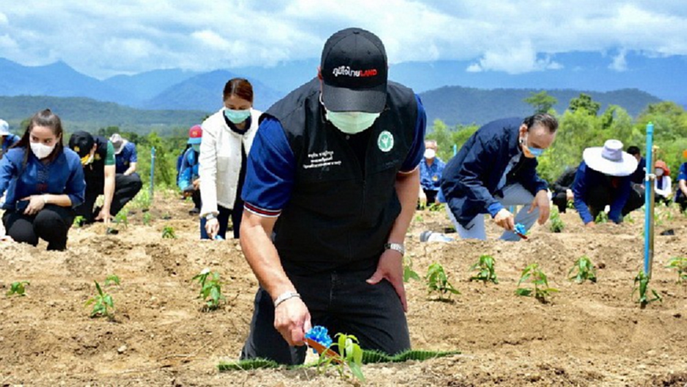 'อนุทิน' คิกออฟปลูก 'ฟ้าทะลายโจร' จ.อุทัยธานี เป็นยาทางเลือกรักษาโควิด