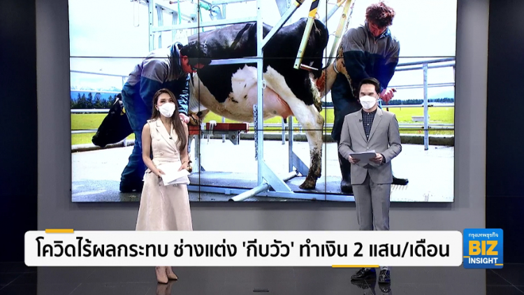 โควิดไร้ผลกระทบ ช่างแต่ง 'กีบวัว' ทำเงิน 2 แสน/เดือน