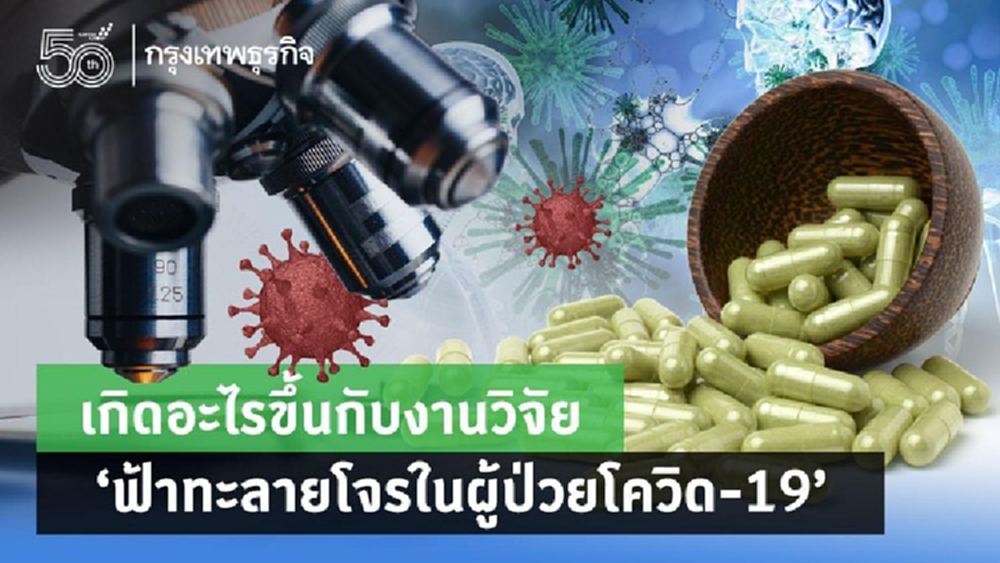 กรมแพทย์แผนไทยฯแจงเหตุต้องถอนงานวิจัย 'ฟ้าทะลายโจร'